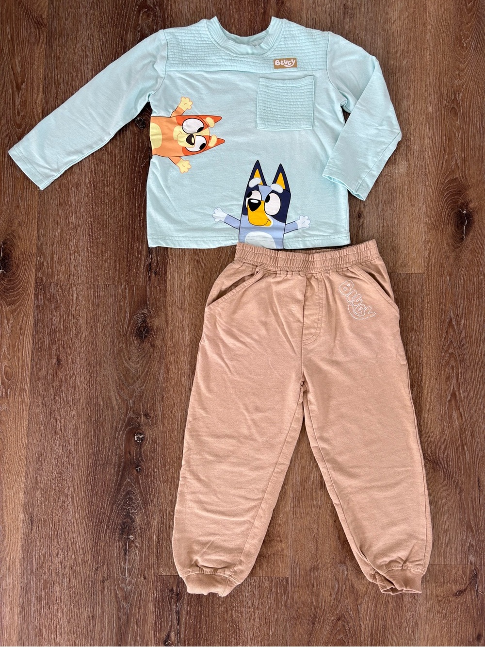 NWOT Disney Bluey Lightweight Sweat Shirt & Joggers Set Size: 4T/ Travel, Loung